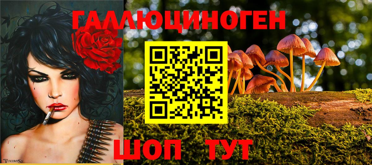 Галлюциногенные грибы MAGIC MUSHROOMS Гай