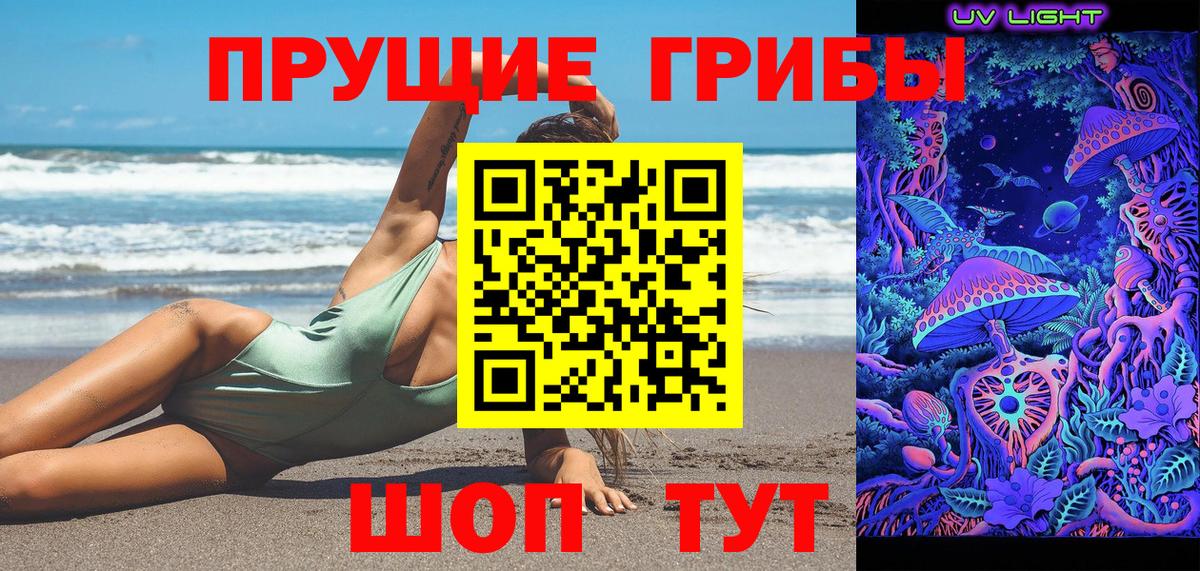Гай  Псилоцибиновые грибы мухоморы  Вход с VPN 